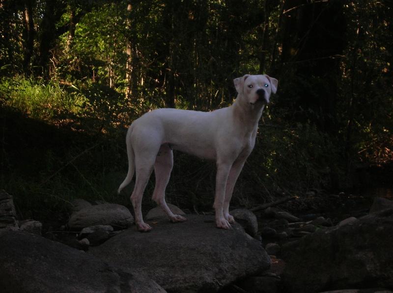 Fina bianca Du Pays Melusin
